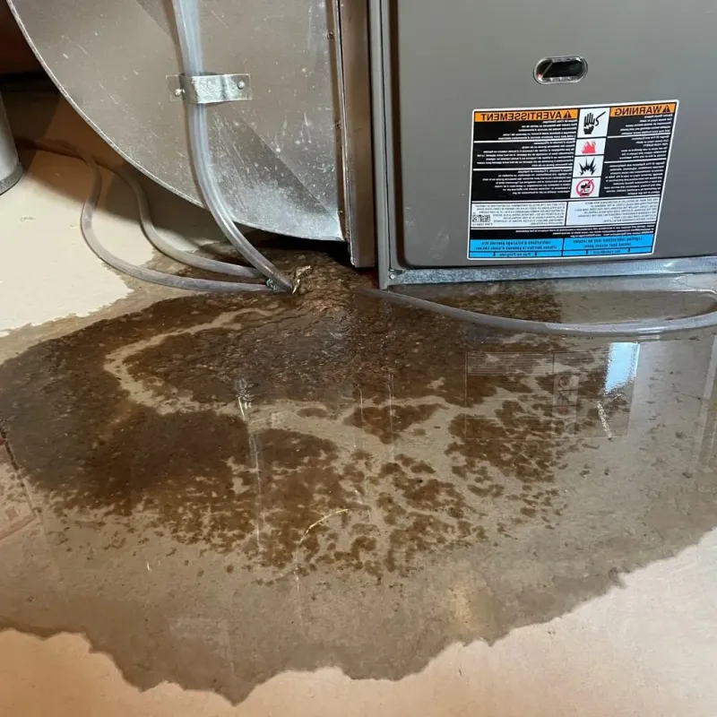 Pipe Burst and Leak Restoration in Wilmore, KY